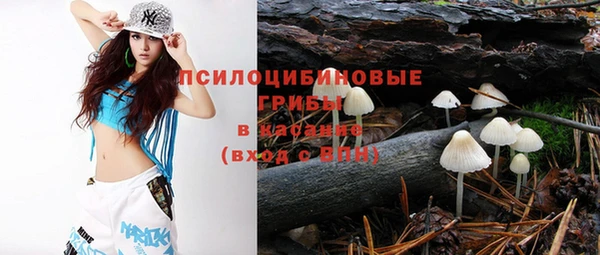 эйфоретик Алексеевка
