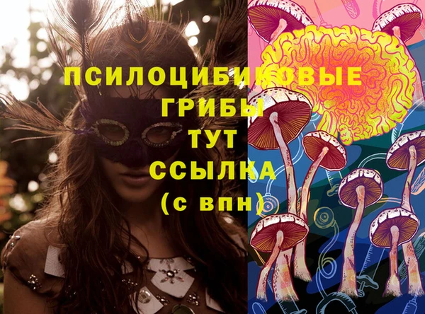 Альфа ПВП Алзамай