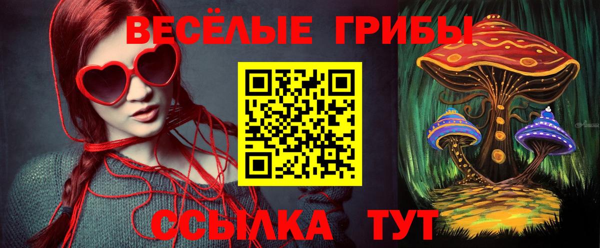 Псилоцибиновые грибы Psilocybe Сыктывкар